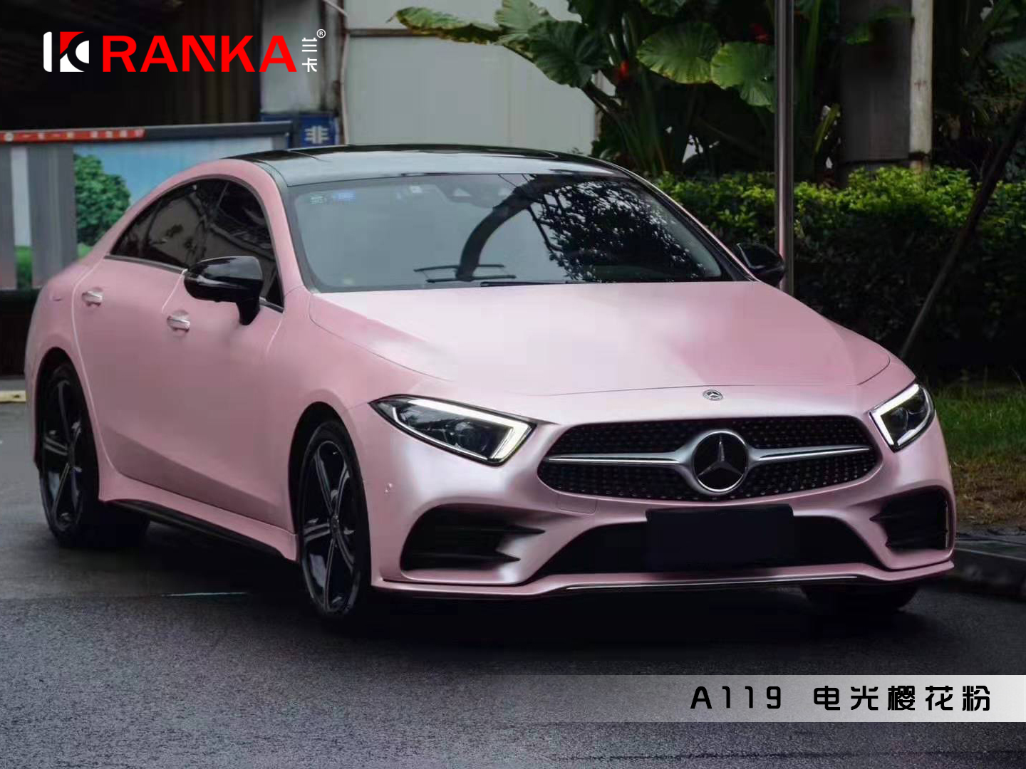 A119电光樱花粉 01.jpg