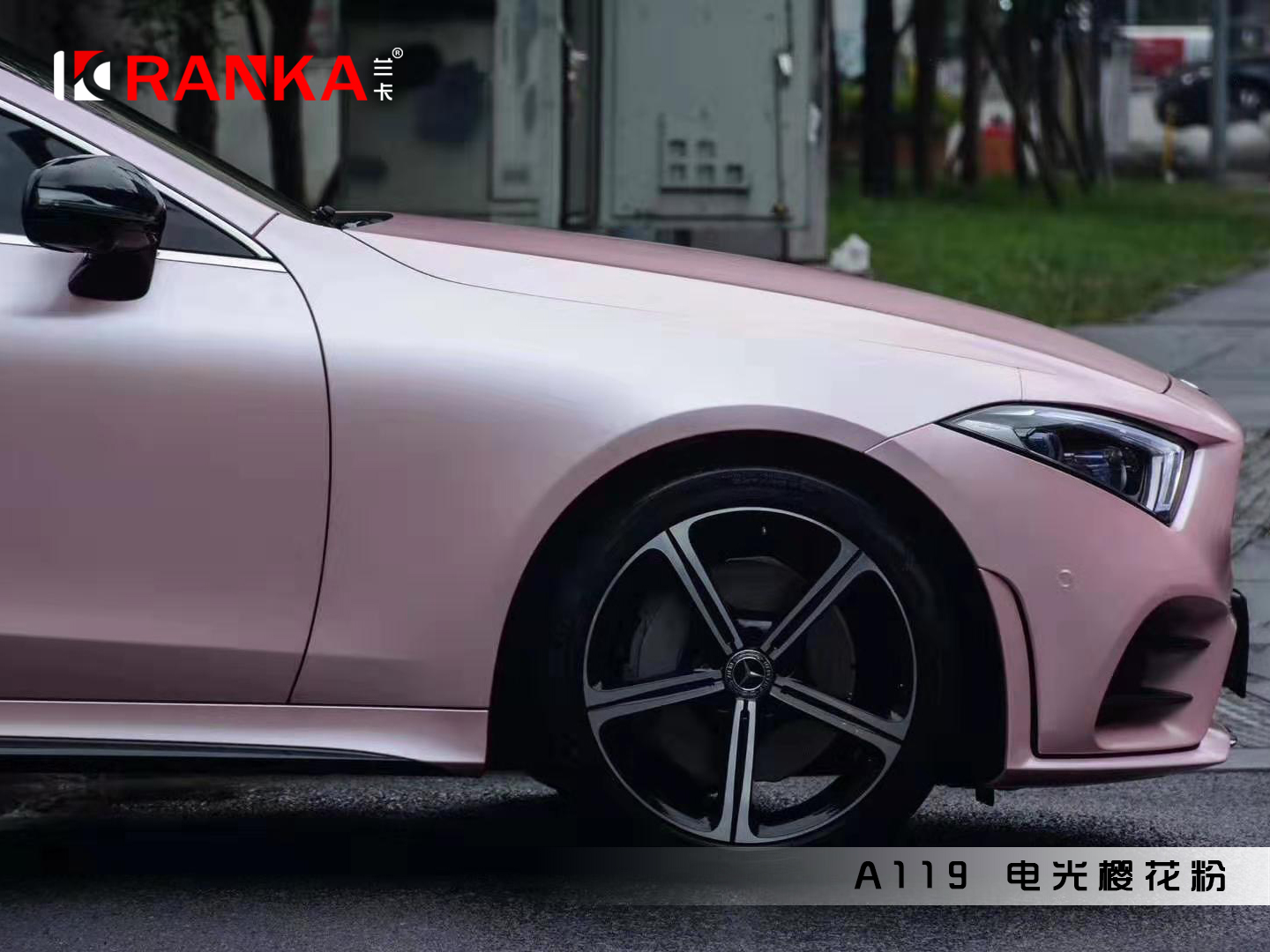 A119电光樱花粉 02.jpg