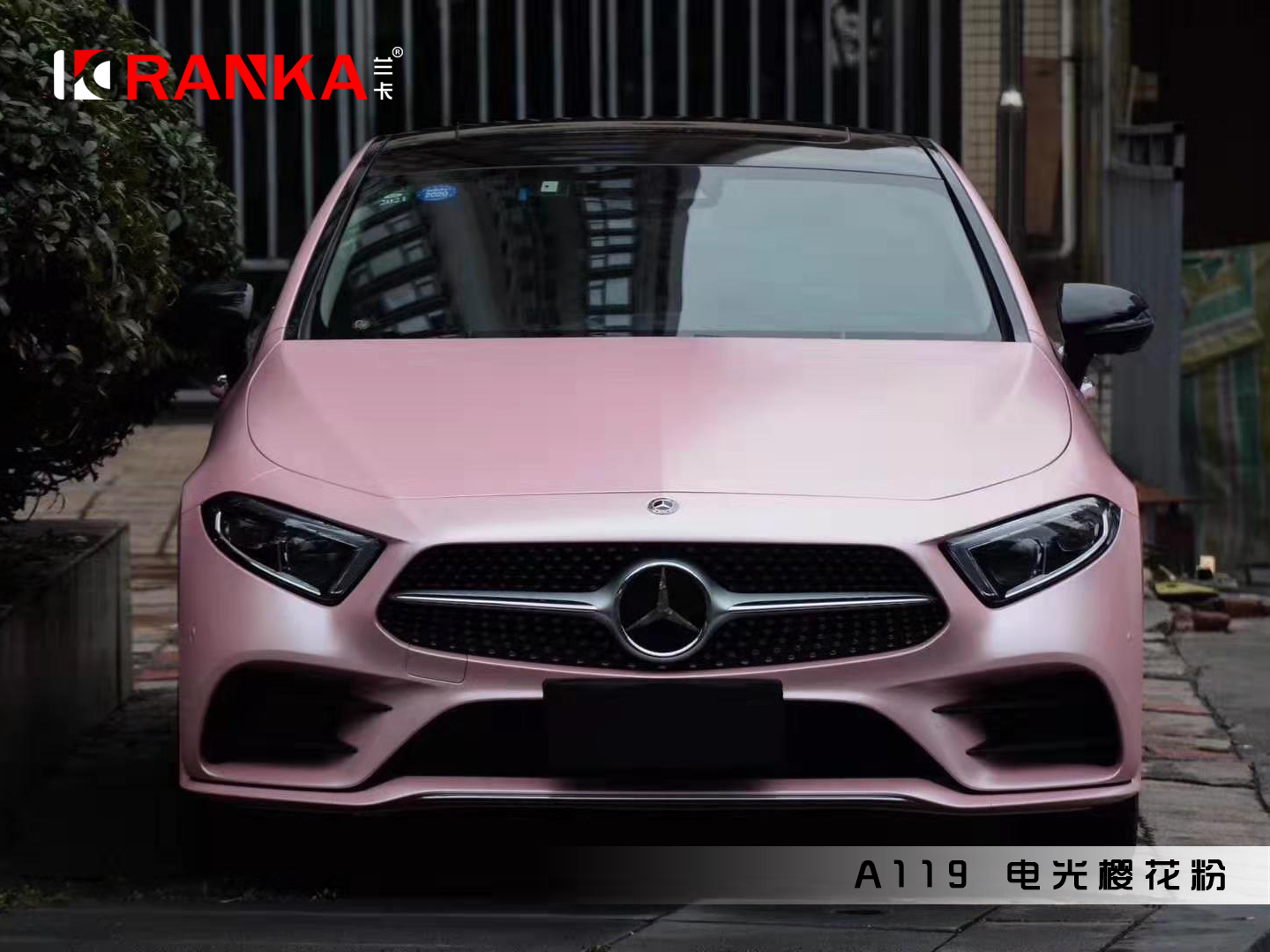 A119电光樱花粉 05.jpg
